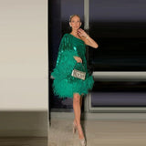 One Shoulder Feathered Sequins Dress