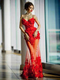Red 3D Floral Appliqué Mesh Dress