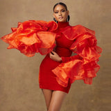 Asymmetric Ruffle Sleeves  London Fashion Week Dress