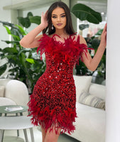 Luxury Fur Feather Evening Dress