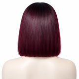 10"Glueless Human Hair Ombre Straight Lace Wig - Steph