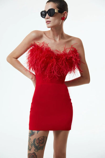 Fluffy Feather Detailed Slim Fit Dress